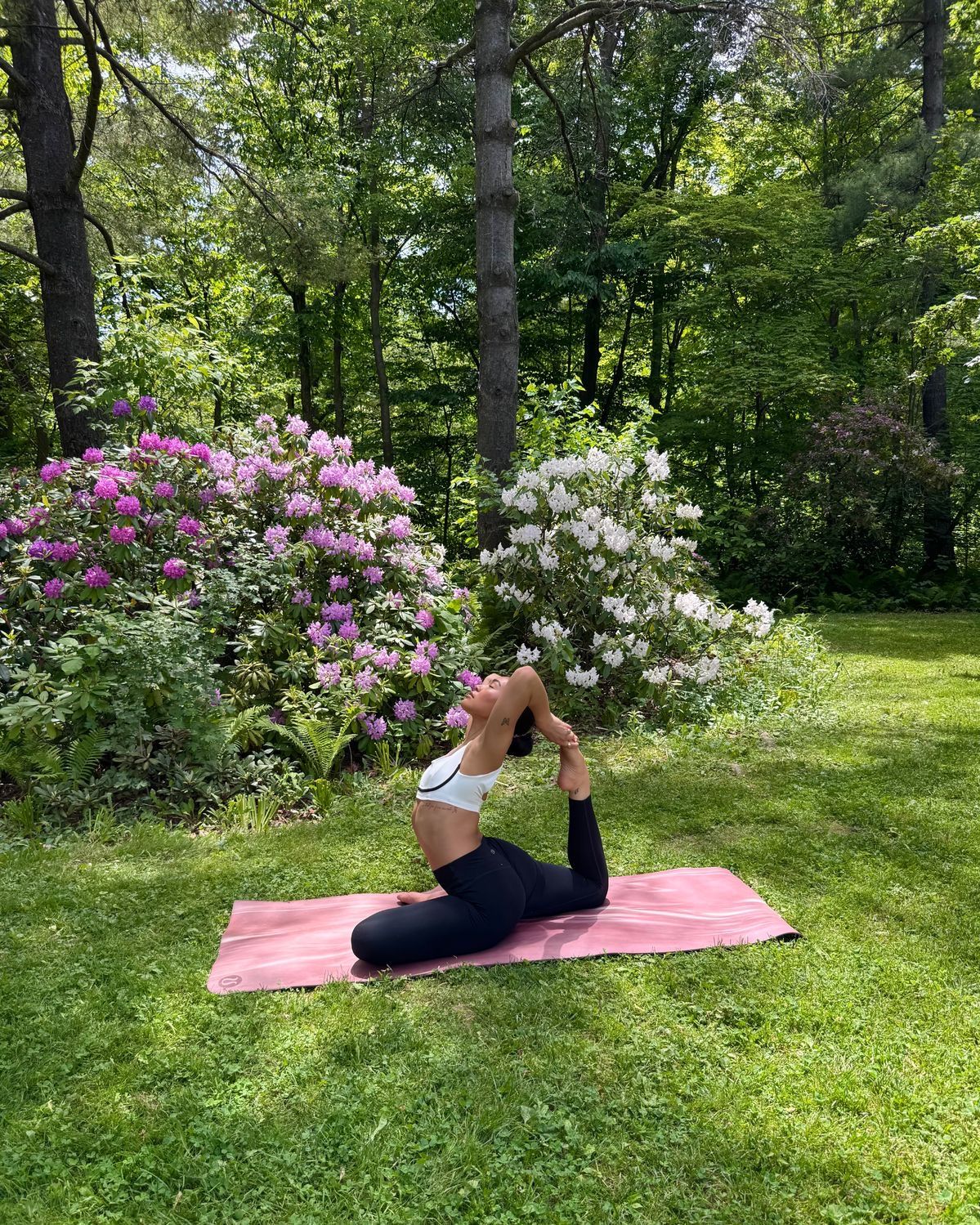 Sunlit reading corner with a soft chair